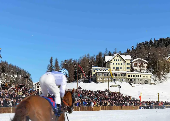 Waldhaus Am فندق