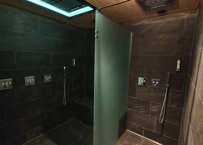 발트하우스 암 제 호텔 세인트모리츠