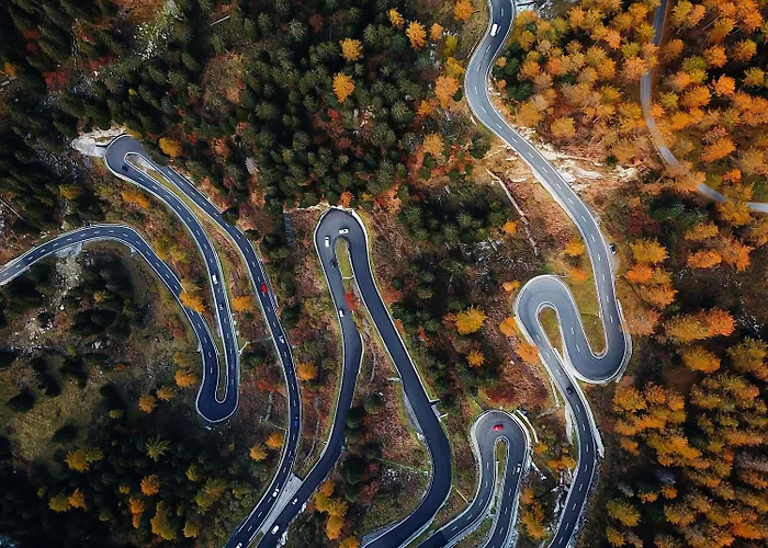 호텔 발트하우스 암 제 세인트모리츠