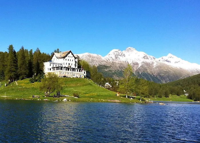 발트하우스 암 제