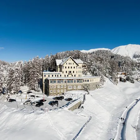 Отель Waldhaus Am Санкт-Мориц